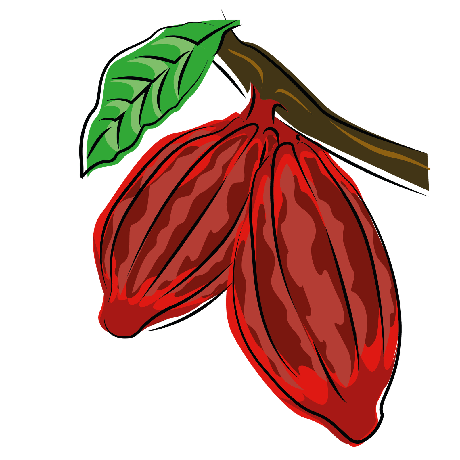 Chocodoki